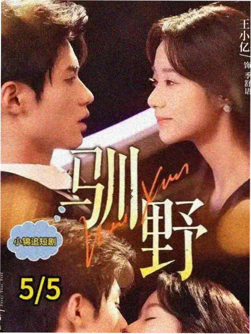 曼达洛人 在线电影观看